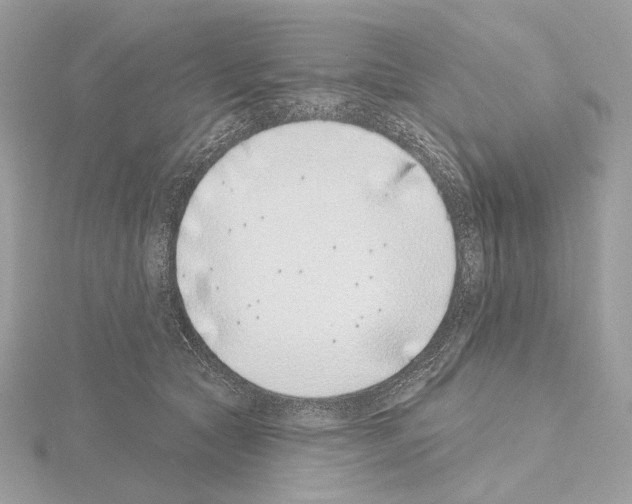 X0000115050561200912071132