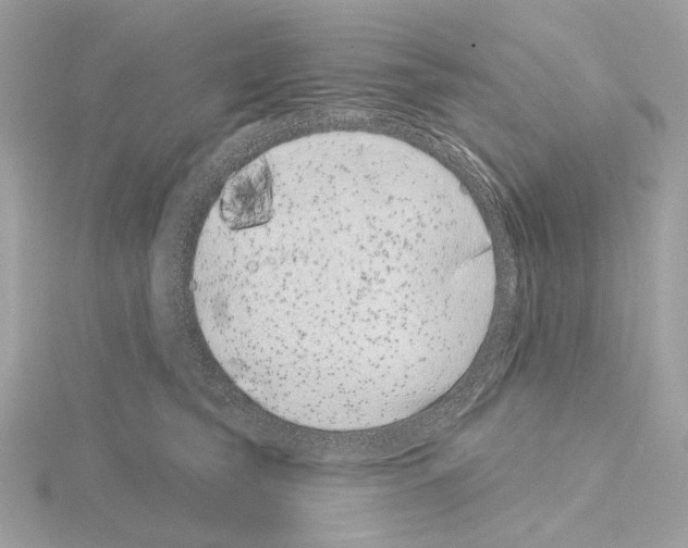 X0000115050565200912071132