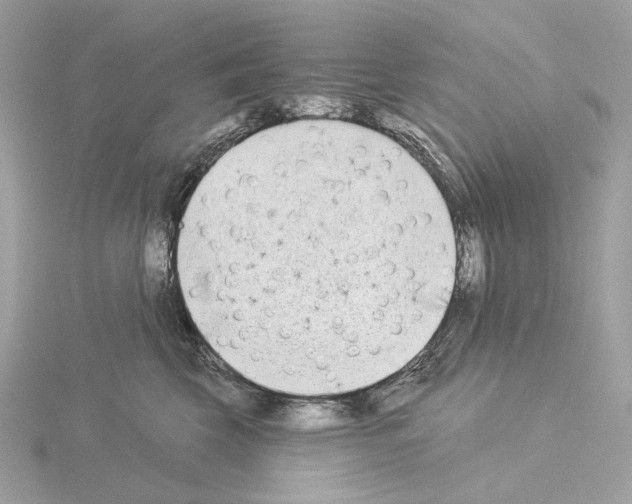 X0000115050569200912071132