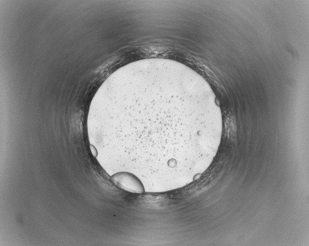 X0000115050570200912071132