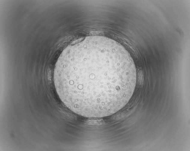 X0000115050571200912071132