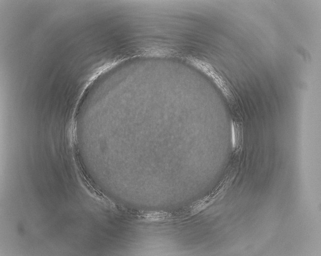 X0000115050579200912071132