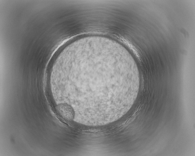 X0000115050580200912071132