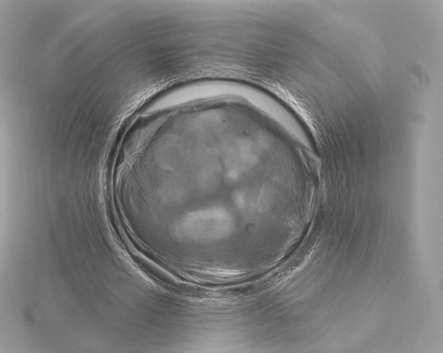 X0000115050581200912071132