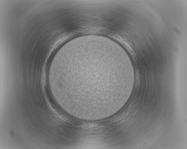 X0000115050582200912071132