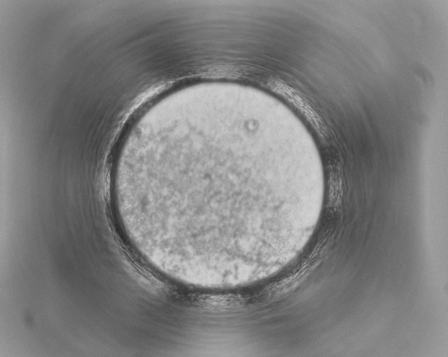 X0000115050584200912071132