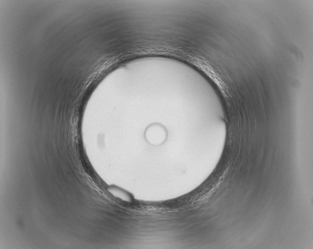 X0000115050585200912071132