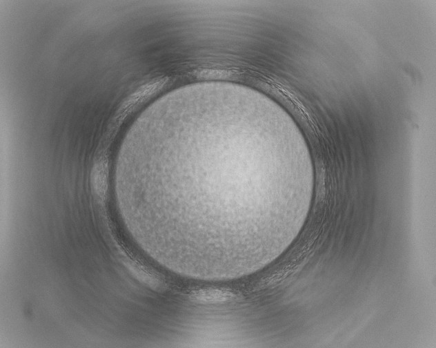 X0000115050586200912071132