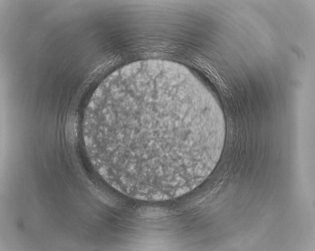 X0000115050590200912071132