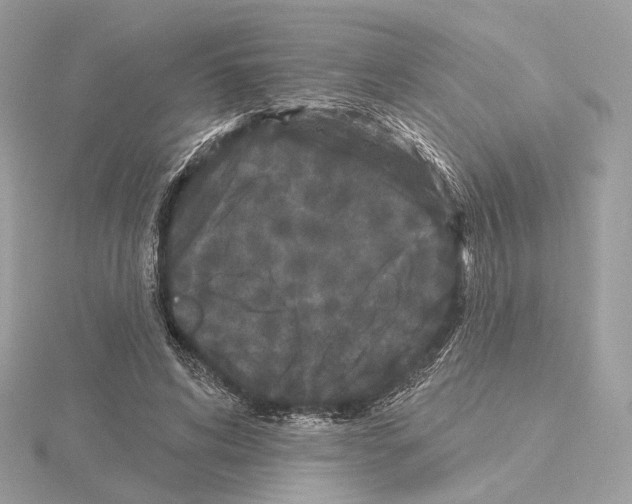 X0000115050592200912071132