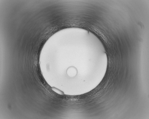 X0000115050593200912071132