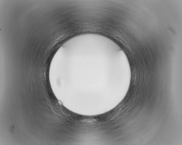 X0000115050595200912071132