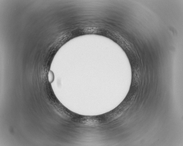 X0000115050601200912071131