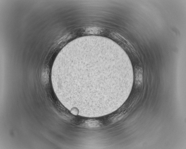 X0000115050603200912071131