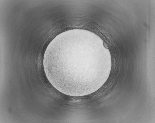 X0000115050612200912071131