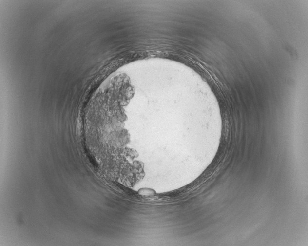 X0000115050613200912071131