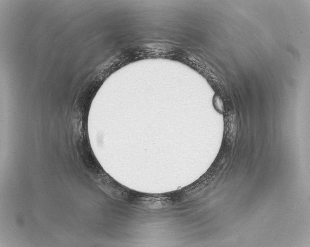 X0000115050615200912071131