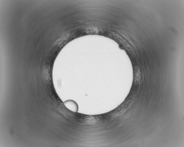 X0000115050616200912071131