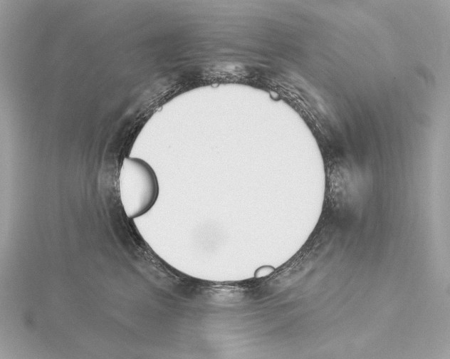 X0000115050617200912071131