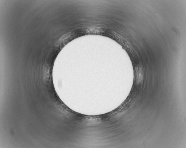 X0000115050619200912071131