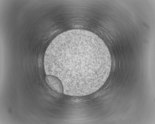 X0000115050620200912071131