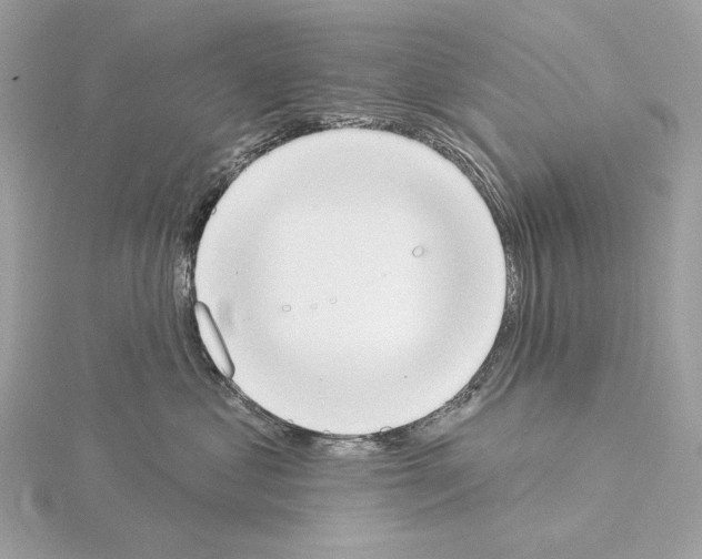 X0000115050621200912071131