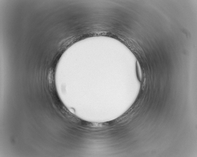 X0000115050623200912071131