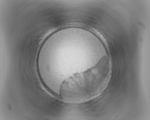 X0000115050625200912071130