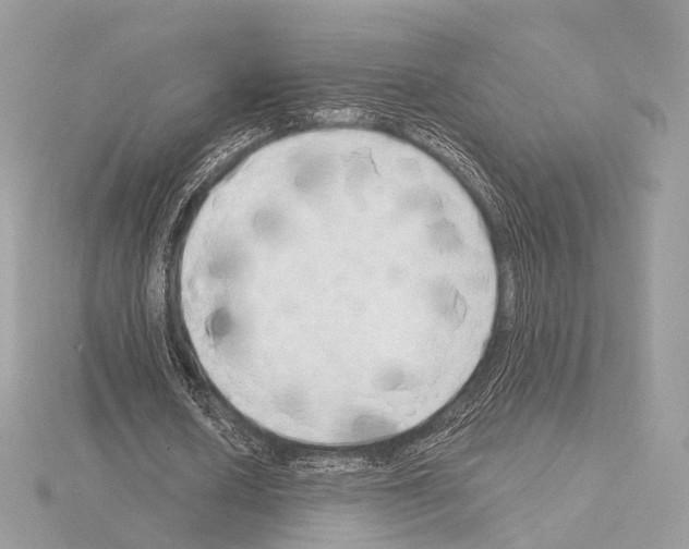 X0000115050626200912071130