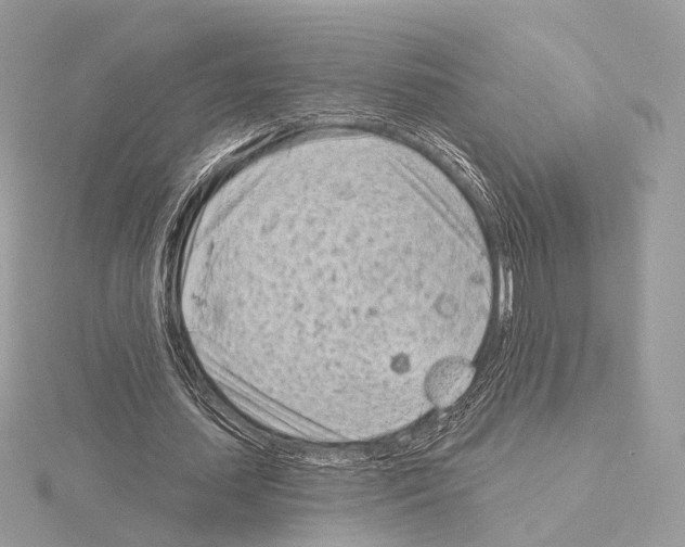 X0000115050627200912071130