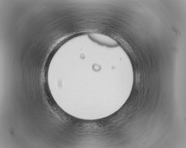 X0000115050628200912071130