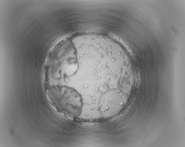 X0000115050629200912071130