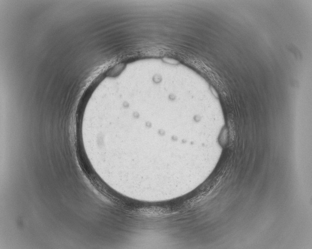 X0000115050630200912071131