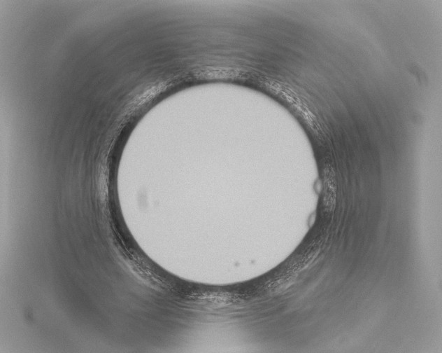 X0000115050631200912071131