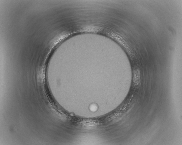 X0000115050632200912071131