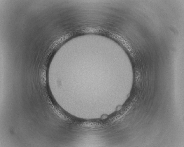 X0000115050633200912071131