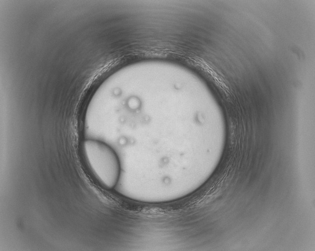 X0000115050634200912071131