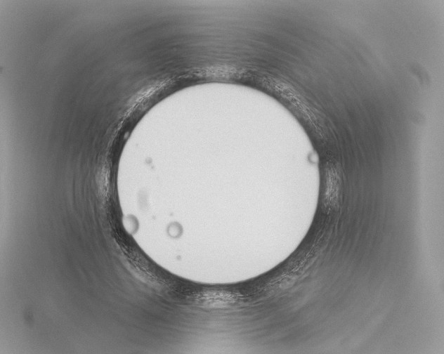 X0000115050636200912071131