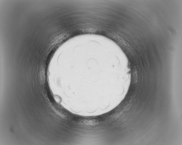 X0000115050638200912071131