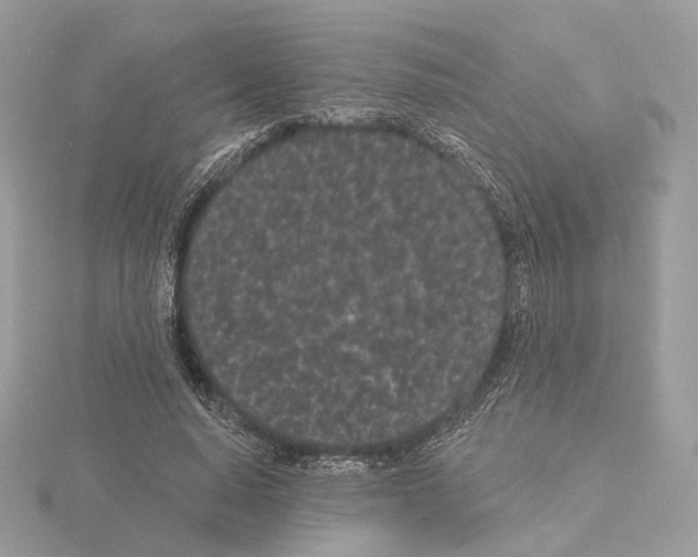 X0000115050640200912071131