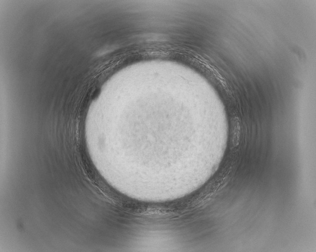 X0000115050641200912071131