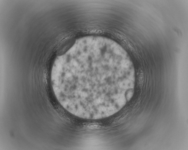 X0000115050643200912071131