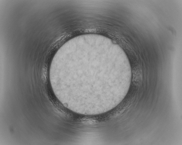 X0000115050648200912071131