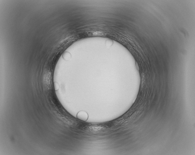 X0000115050650200912071131