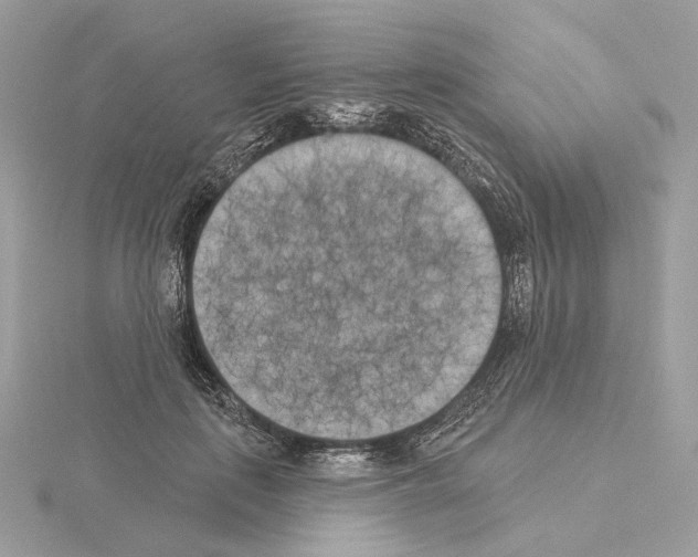 X0000115050651200912071131