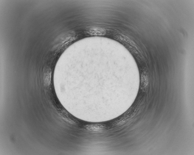 X0000115050652200912071131