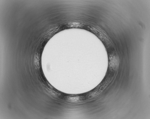 X0000115050653200912071131