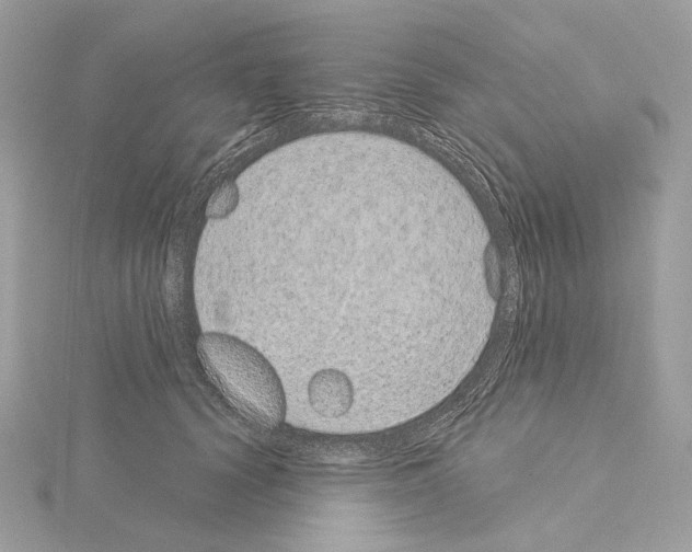 X0000115050656200912071131