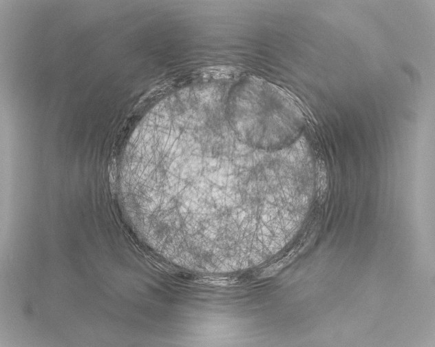 X0000115050661200912071131