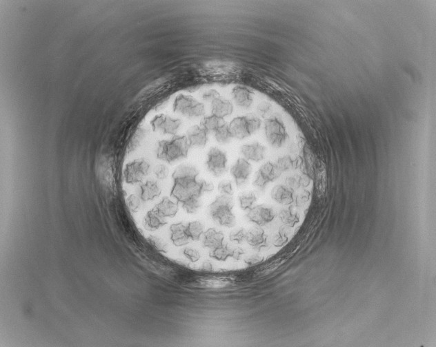 X0000115050662200912071131